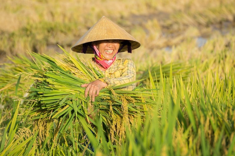 Sapa, Vietnam